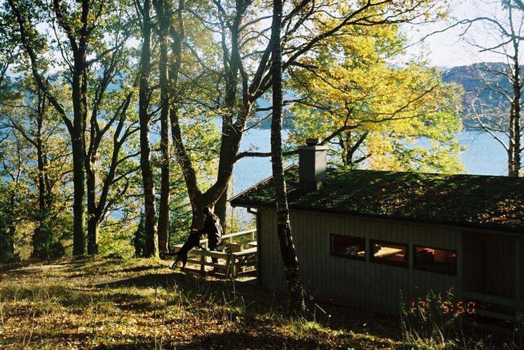 Hardanger Feriesenter Neshagen Villa Norheimsund Eksteriør bilde